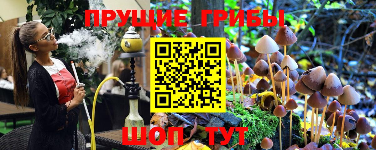 Галлюциногенные грибы MAGIC MUSHROOMS Октябрьский