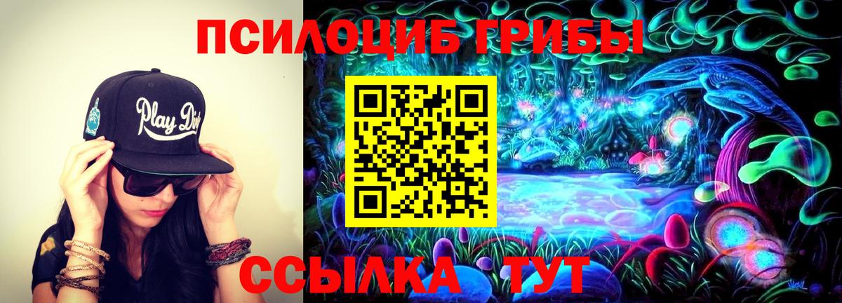 Псилоцибиновые грибы мицелий  Псилоцибиновые грибы Cubensis  Вход с VPN  Октябрьский 