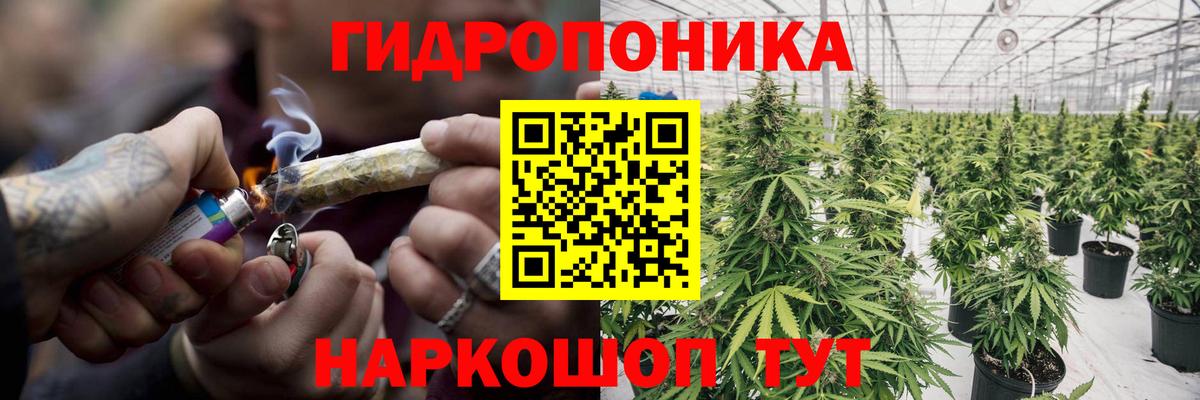 Бошки марихуана план Октябрьский